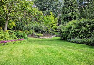 Optimiser l'expérience du jardin à Plourin-les-Morlaix